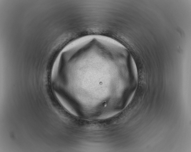 X0000113540738200910091243