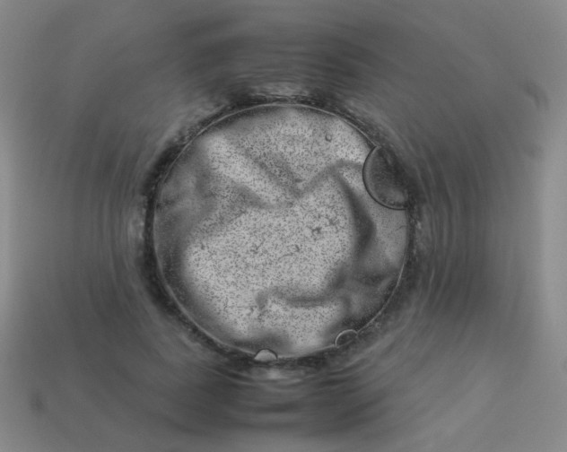 X0000113540739200910091243