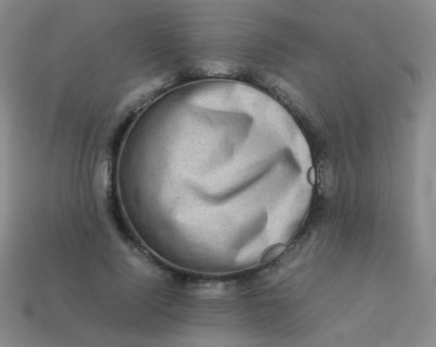 X0000113540740200910091243