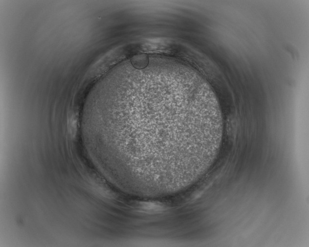 X0000113540741200910091243