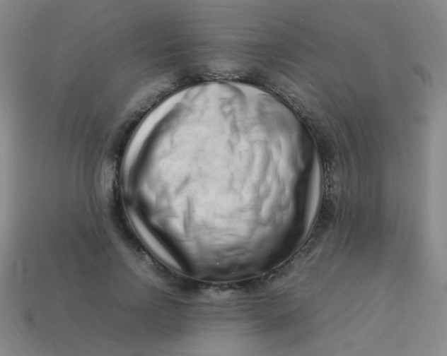 X0000113540742200910091243