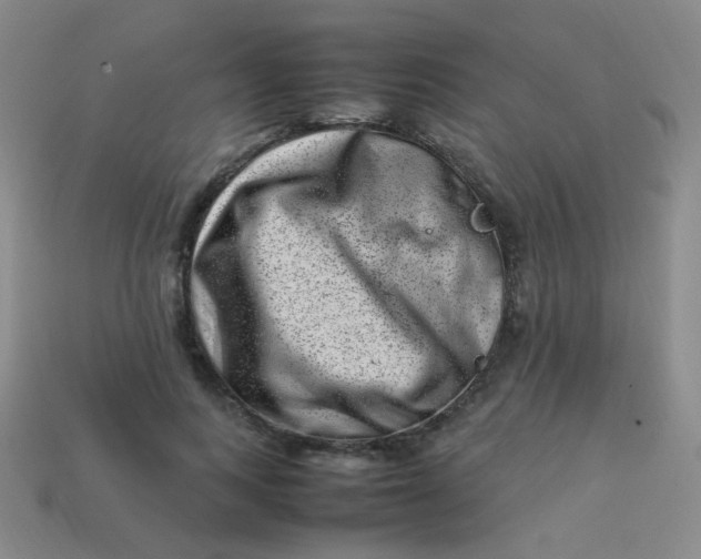 X0000113540743200910091243