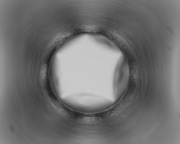 X0000113540744200910091243