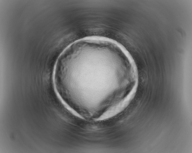 X0000113540745200910091243