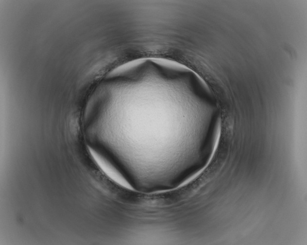 X0000113540746200910091243