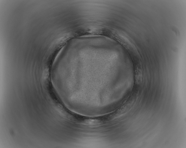 X0000113540748200910091243