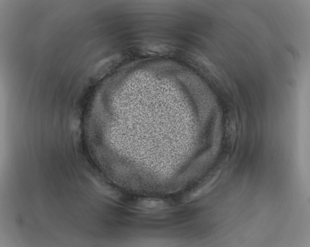 X0000113540749200910091243