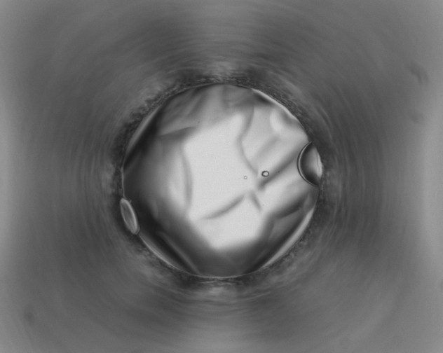 X0000113540750200910091243