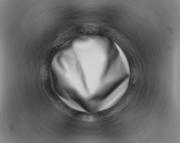 X0000113540751200910091243