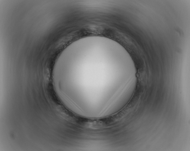 X0000113540752200910091243