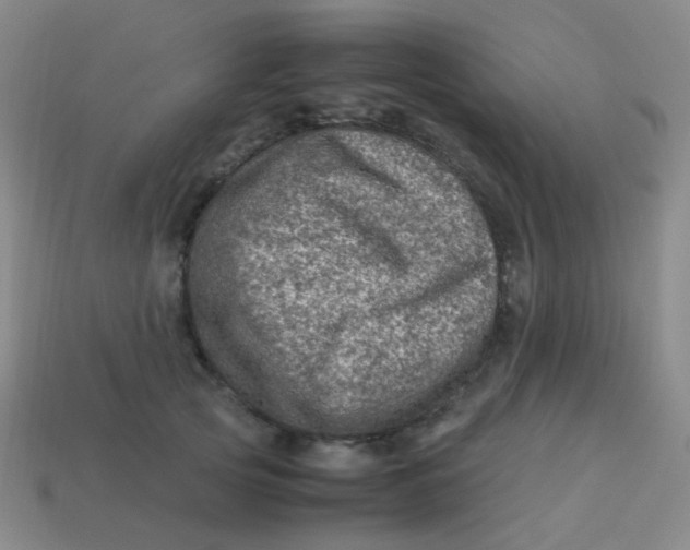 X0000113540753200910091243