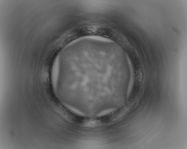 X0000113540754200910091243