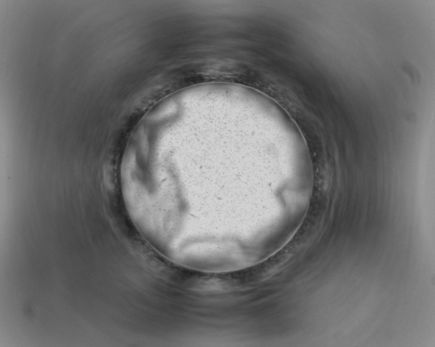 X0000113540755200910091243