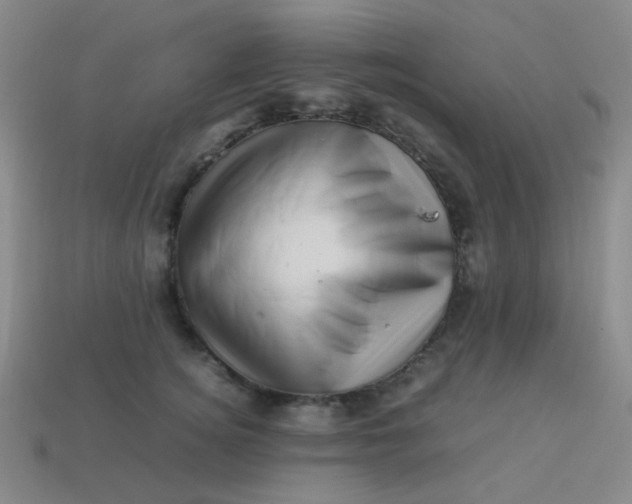 X0000113540756200910091243