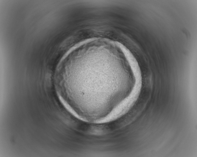 X0000113540757200910091243