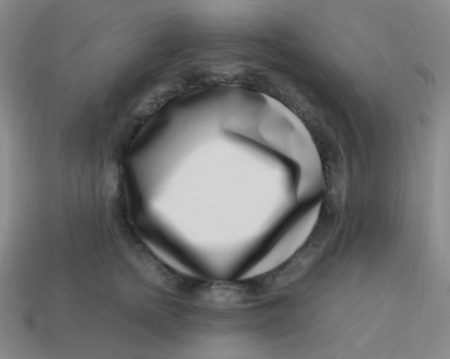 X0000113540758200910091243