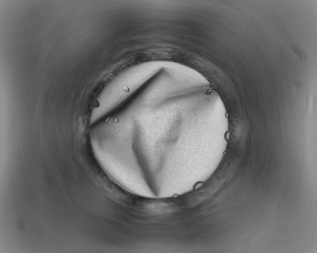 X0000113540759200910091243