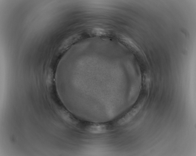 X0000113540760200910091243