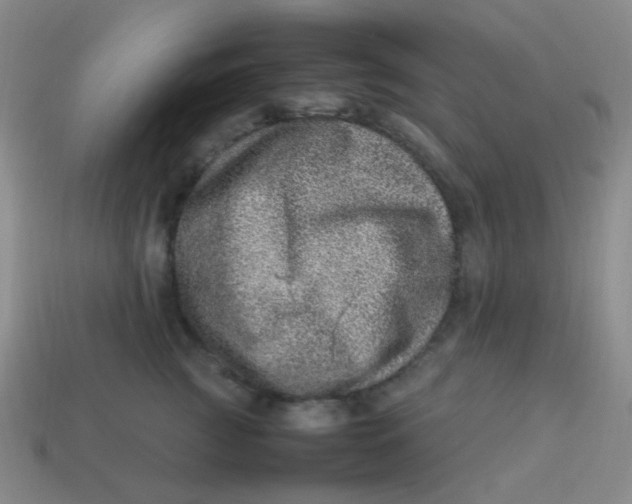 X0000113540761200910091243