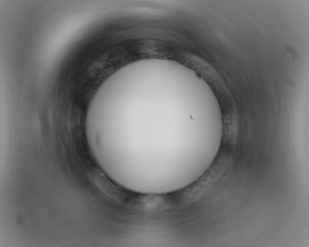 X0000113540762200910091243