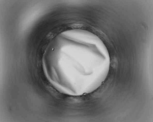 X0000113540763200910091243