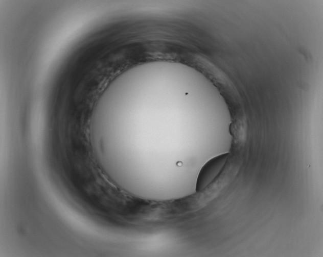 X0000113540764200910091243