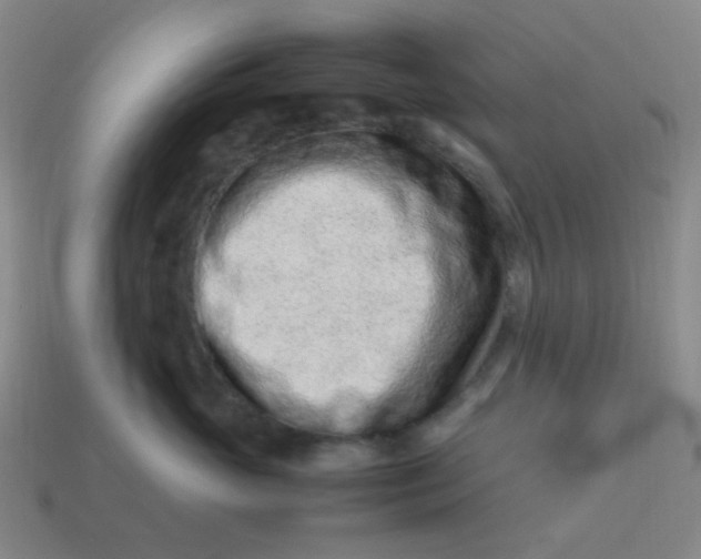 X0000113540765200910091243