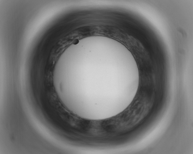 X0000113540766200910091243