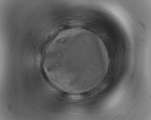 X0000113540767200910091243