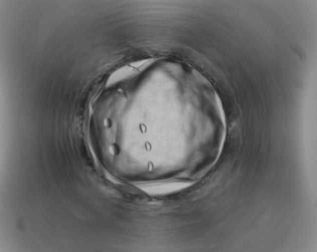 X0000113540772200910091242