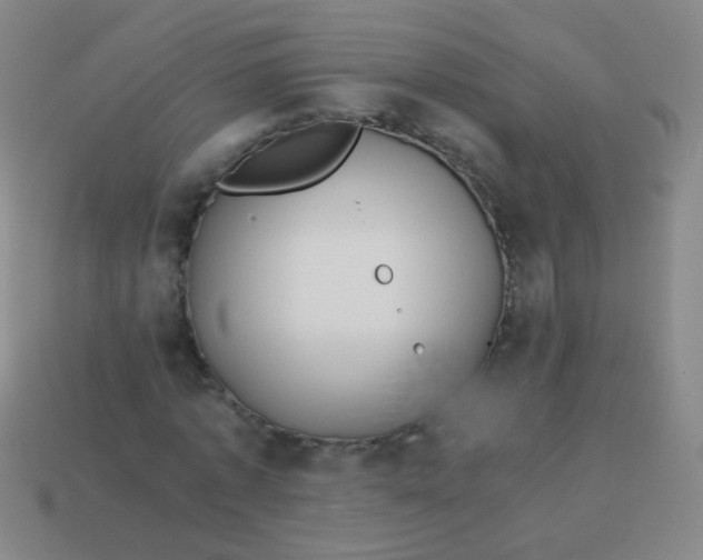 X0000113540773200910091242