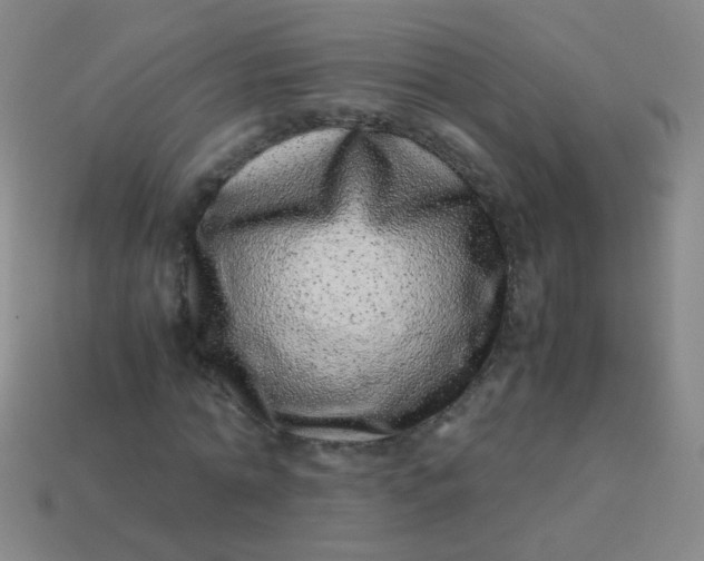 X0000113540774200910091242