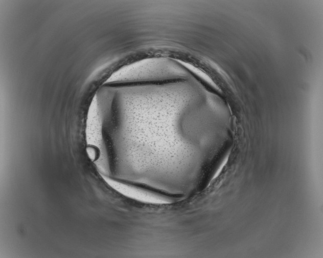 X0000113540775200910091242