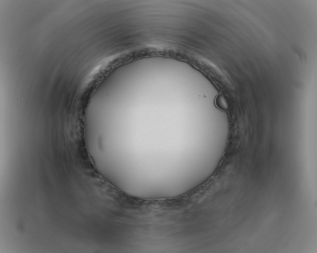 X0000113540776200910091242