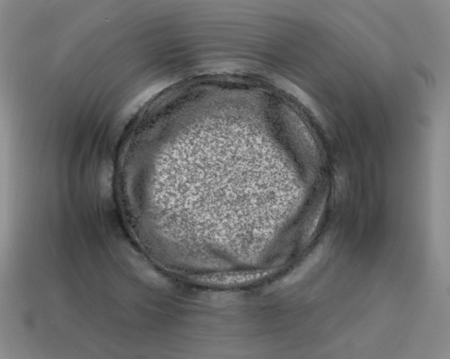 X0000113540778200910091242