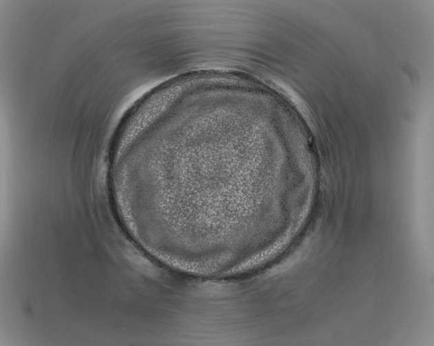 X0000113540779200910091242