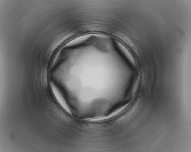 X0000113540782200910091242