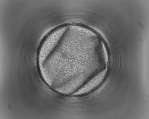 X0000113540783200910091242