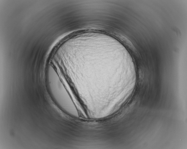 X0000113540784200910091242