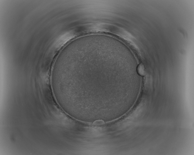 X0000113540785200910091242