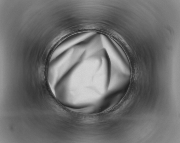 X0000113540786200910091242