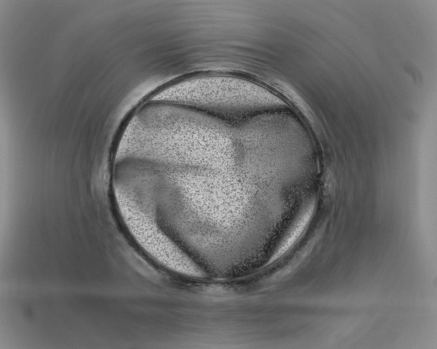 X0000113540787200910091242