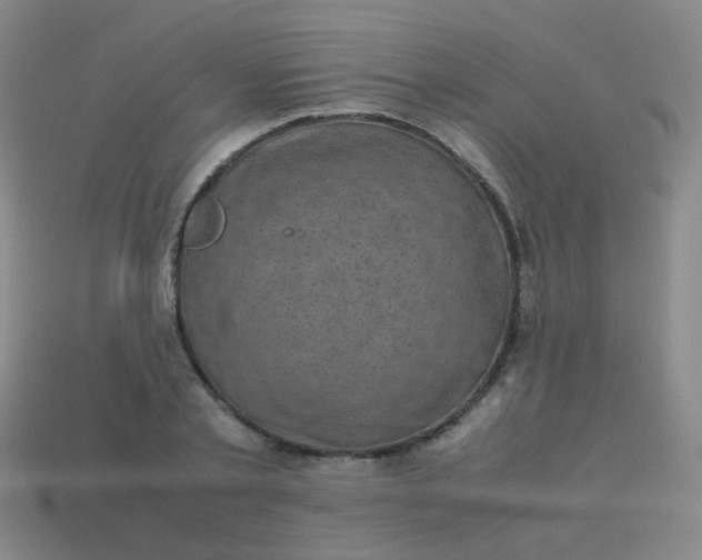 X0000113540789200910091242