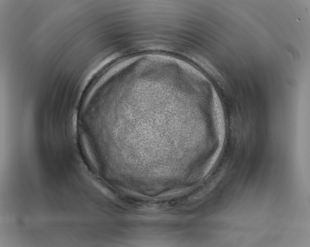 X0000113540790200910091242