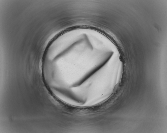 X0000113540791200910091242