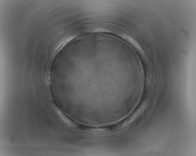 X0000113540793200910091242