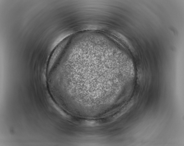 X0000113540794200910091242