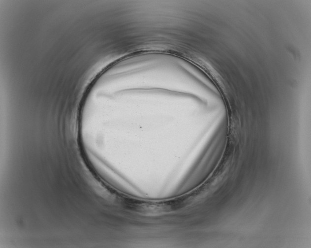 X0000113540795200910091242