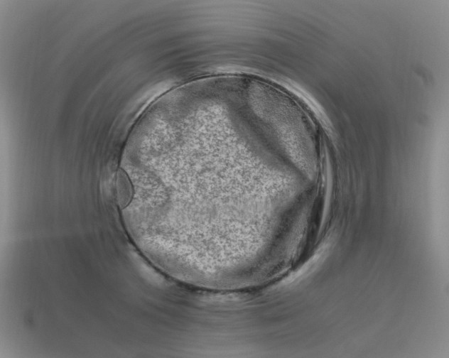 X0000113540801200910091242