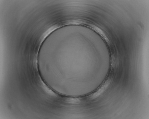 X0000113540802200910091242